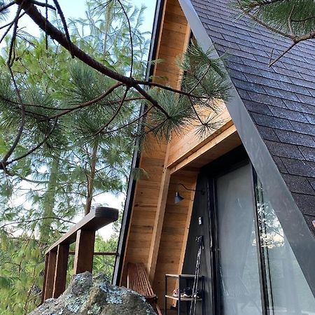 Cabanas Chalets Piedra Alta Zacatlan Камотепек Экстерьер фото